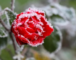 Атмосферний фронт зіпсує погоду в останні вихідні квітня